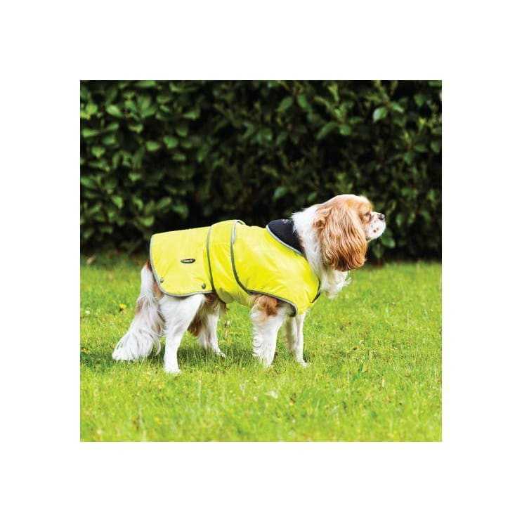 Ancol Stormguard Hi Viz Yellow Waterproof Dog Coat