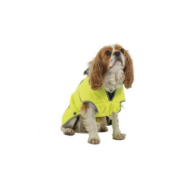 Ancol Stormguard Hi Viz Yellow Waterproof Dog Coat