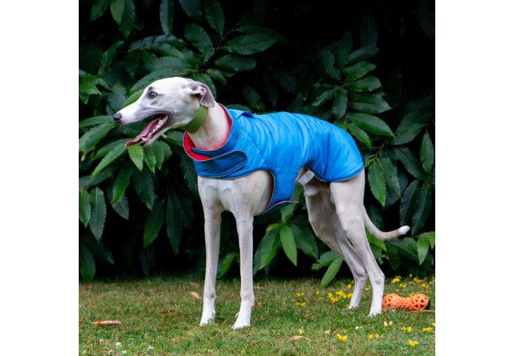 Ancol Viva Reversible Dog Coat Red/Blue