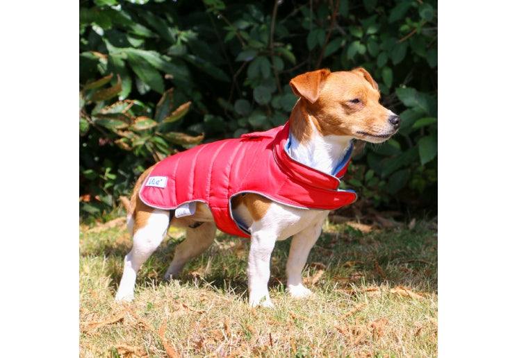 Ancol Viva Reversible Dog Coat Red/Blue