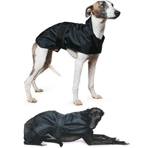 Ancol Whippet & Greyhound Dog Coat