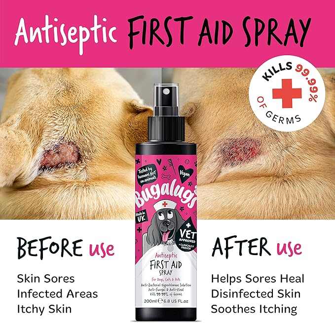 Bugalugs Antiseptic First Aid Spray