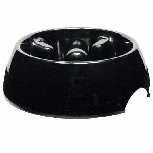 Go Slow Anti Gulp Dog Bowl