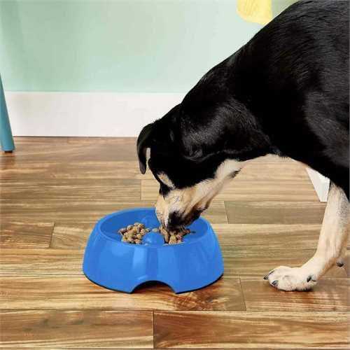 Go Slow Anti Gulp Dog Bowl