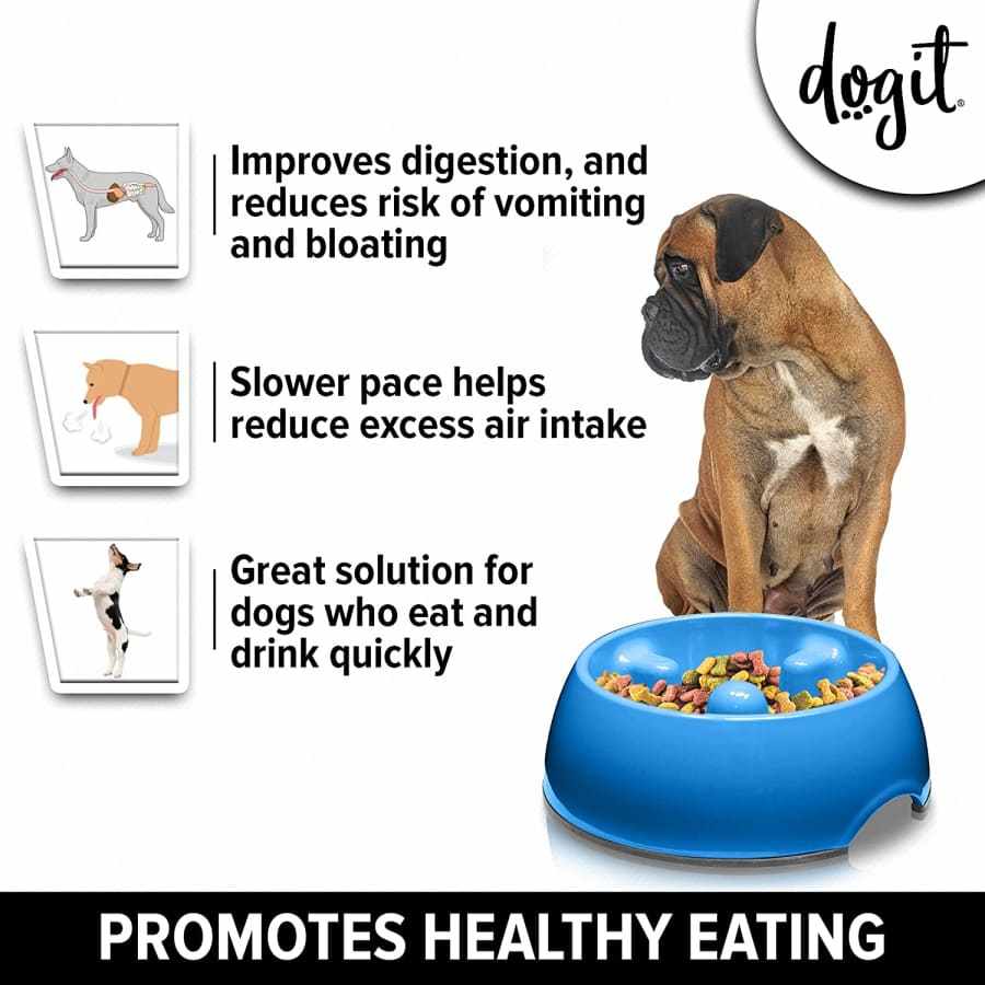 Go Slow Anti Gulping Dog Bowl