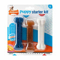 Nylabone Puppy Starter Kit