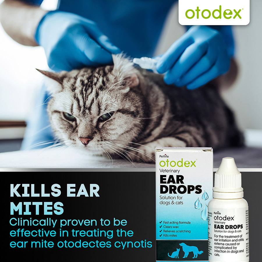 Otodex Veterinary Ear Drops: Fast-Acting Relief for Dog & Cat Ear Irritations