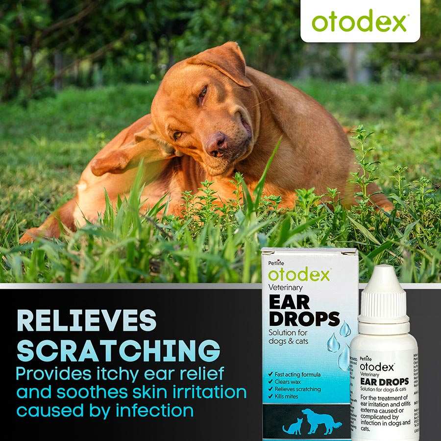 Otodex Veterinary Ear Drops: Fast-Acting Relief for Dog & Cat Ear Irritations