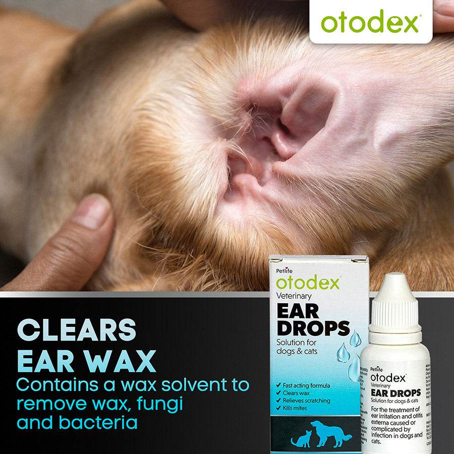 Otodex Veterinary Ear Drops: Fast-Acting Relief for Dog & Cat Ear Irritations