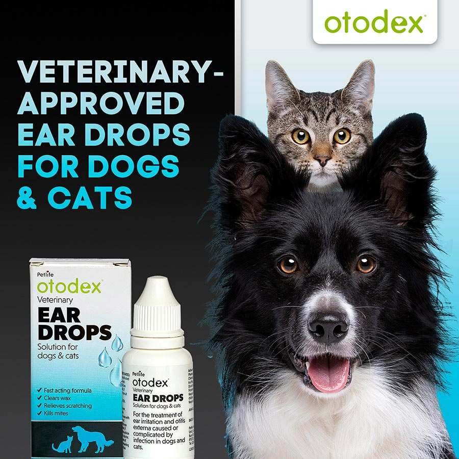Otodex Veterinary Ear Drops: Fast-Acting Relief for Dog & Cat Ear Irritations