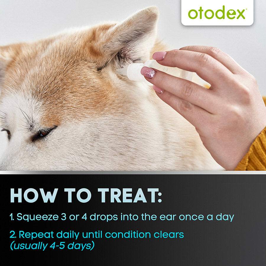 Otodex Veterinary Ear Drops: Fast-Acting Relief for Dog & Cat Ear Irritations