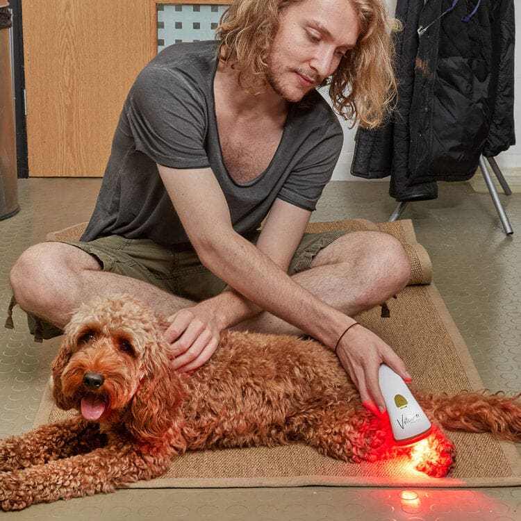 Photizo Vetcare - Red Light Therapy Unit
