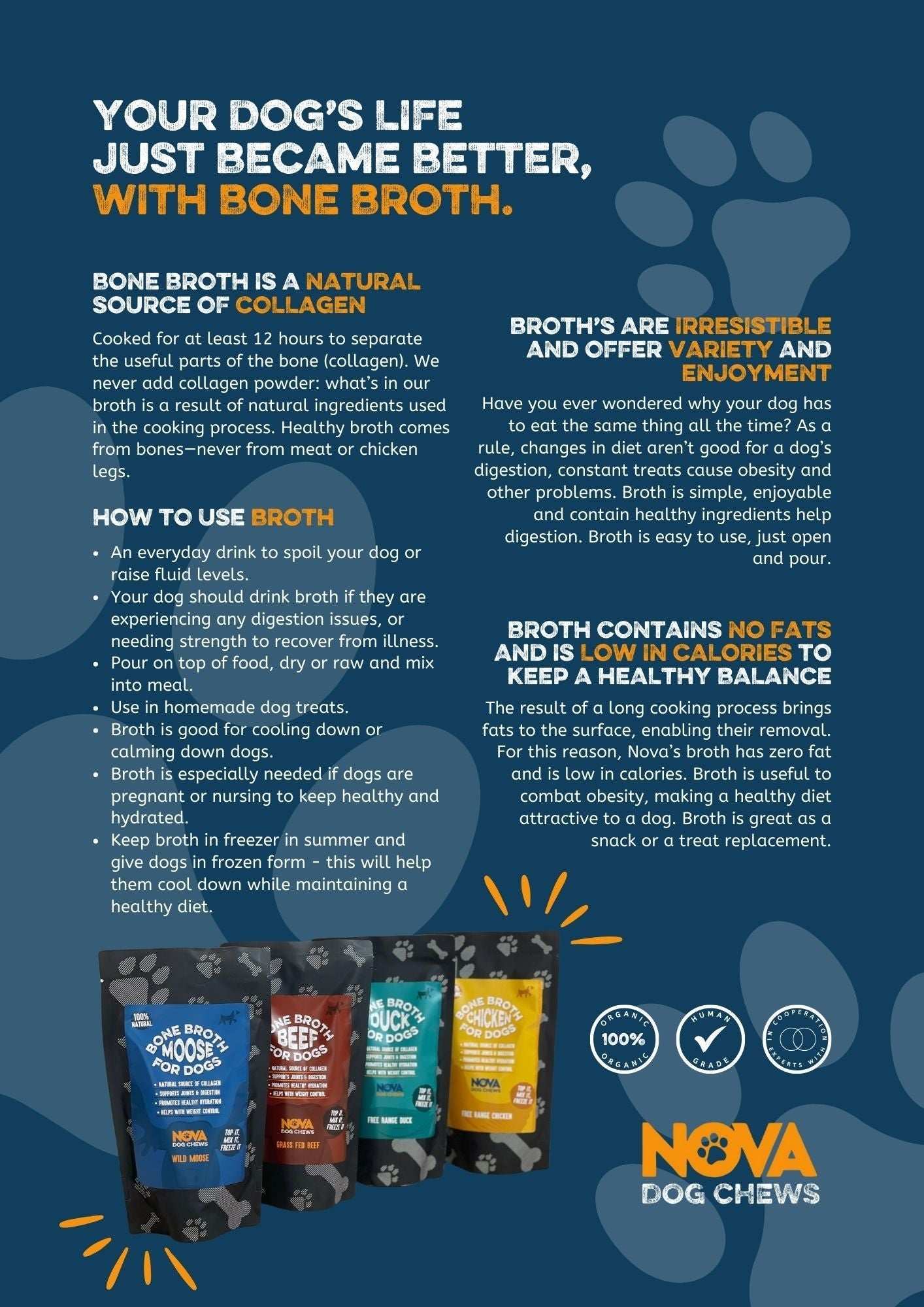 Premium Grass-Fed Beef Bone Broth for Dogs (230ml)