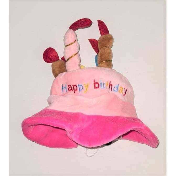 The Birthday Cake Dog Hat.