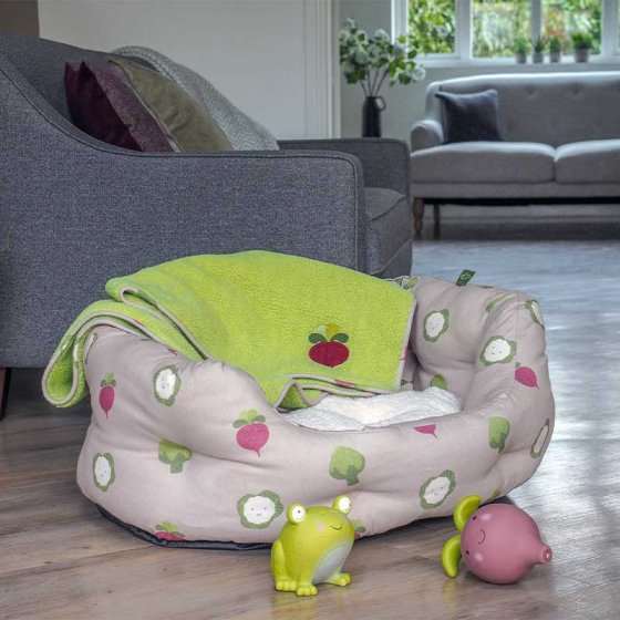 Veggie Oval Small Dog Bed